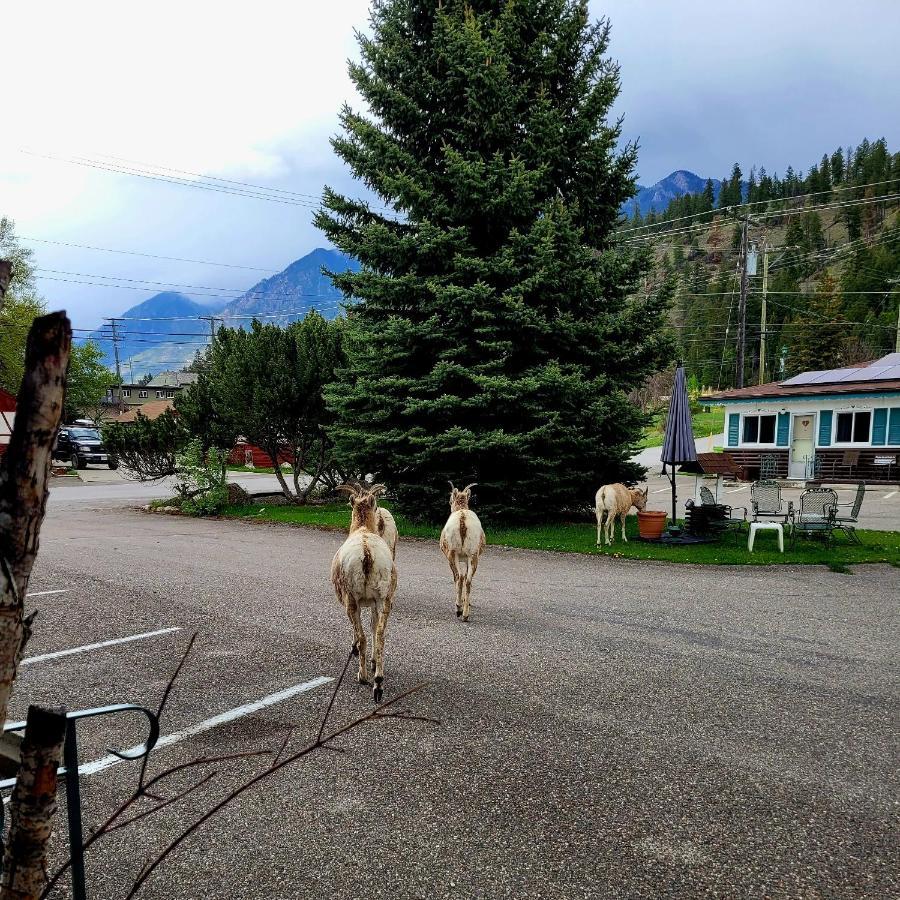 Lido Motel Radium Hot Springs Eksteriør billede