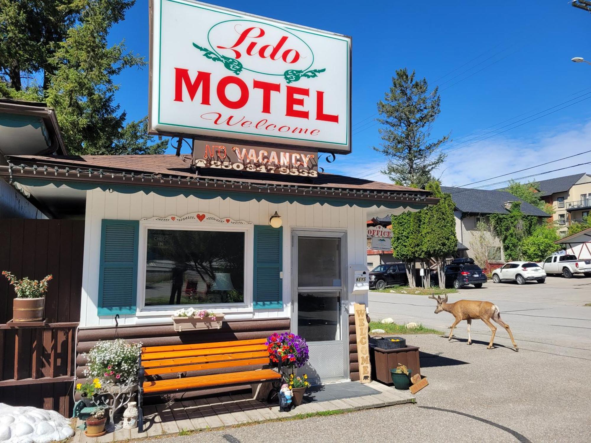 Lido Motel Radium Hot Springs Eksteriør billede